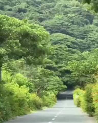 Lohardaga district is a very beautiful place, what would you like to say about it #lohardaga