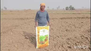 मेसकौर: खराब गेहूं बीज से 16 कट्ठा फसल बर्बाद, किसान ने लगाई गुहार, कृषि विभाग ने जांच का आश्वासन दिया