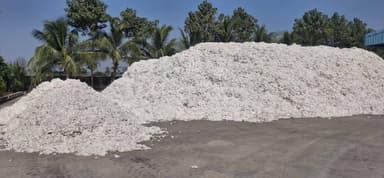 જેસર: જેસર તાલુકા સહિત વિસ્તારમાં સીસીઆઇ દ્વારા કપાસ ખરીદી પ્રક્રિયાની શરૂઆત
તારીખ 2 ડિસેમ્બર 2025 ના રોજ