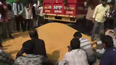 हरदा: हरदा कृषि उपज मंडी में मक्का किसानों का विरोध, कम भाव मिलने से नाराज़गी