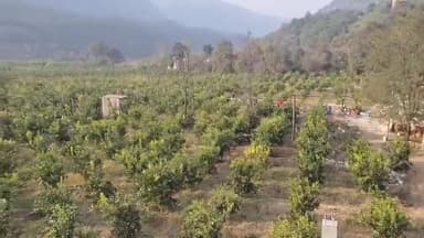 स्वारघाट: करोट एचपी शिवा क्लस्टर का सहायक परियोजना निदेशक ने किया निरीक्षण, किसानों के कार्यों की की सराहना