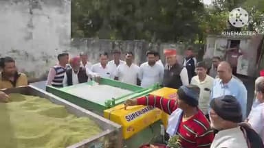 मेड़ता: मेड़ता के लांबा जाटान में समर्थन मूल्य खरीद केंद्र पर खरीद शुरू हुई