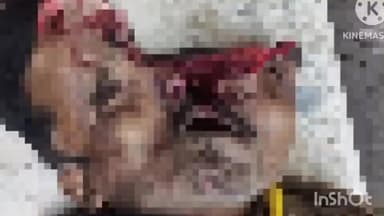 পুরুলিয়া ১: ট্রাকের চাকায় পিষ্ট পথচারী, বলরামপুর থেকে গ্রেপ্তার ট্রাকচালক ধৃতকে কোটে পেশ করল পুলিশ