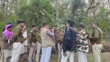 नेपानगर: देशभर में बाघ गणना शुरू, बुरहानपुर में मांसाहारी वन्यजीवों की संख्या अधिक, तीन चरणों में होगी निगरानी