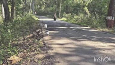 વઘઇ: ઝાવડાથી ભેંસકાતરી રોડ સાઇડના ધોવાણમાં મા. મ. વિભાગે માત્ર પથ્થર મૂકી સંતોષ માન્યો