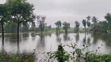 కోడూర్ : కోడూరు నియోజవర్గాలలో పంట పొలాలలో చేరిన వర్షపు నీరు - ప్రభుత్వం ఆదుకోవాలని కోరుతున్న రైతులు