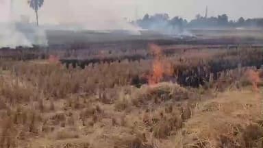 रामगढ़ चौक: रामगढ़चौक में किसान जला रहे पराली, अधिकारी बने मूक दर्शक