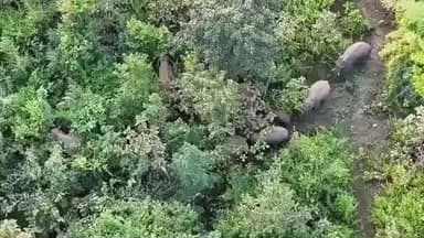 କଣ୍ଟାବାଞ୍ଜି: ବଙ୍ଗୋମୁଣ୍ଡା ରେଞ୍ଜ ଡୁମେରମୁଣ୍ଡା ରେ ହାତୀ ଆତଙ୍କ