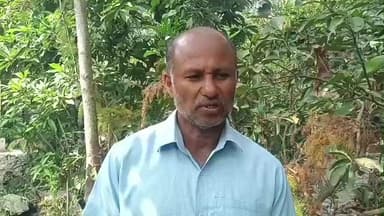 কুলতলি: বাঘের আক্রমণ থেকে মৎস্যজীবীদের রক্ষা করতে নতুন দিশা দেখাচ্ছে বনফুল