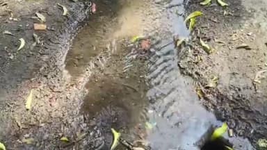 વડોદરા ઉત્તર: ઉભરાતી ગટરો ના કારણે તાંદલજા વિસ્તાર મા રહીશો ત્રાહિમામ