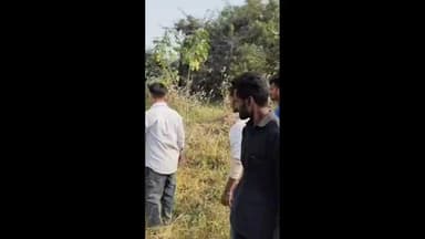 महागाव: तालुक्यातील काळी दौलत शेत शिवारात बिबट्याचा बैलावर हल्ला, बैल जखमी, बिबट्याचा बंदोबस्त करण्याची शेतकऱ्यांची मागणी