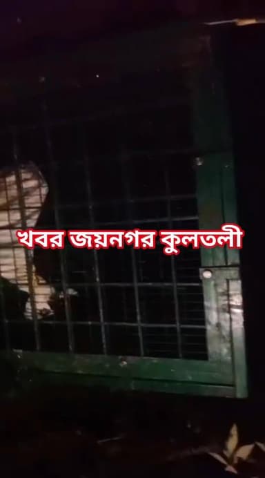 বাঘ ধরতে পাতা হয়েছে অত্যাধুনিক প্রযুক্তি সম্পন্ন খাঁচা, দেয়া হয়েছে টোপ।