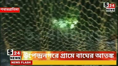 উপেন্দ্রনগরে গ্রামে বাঘের পায়ের ছাপে আতঙ্ক
#Sundarban #SundarbanNews #RoyalBenga Tiger #BanglaNews #Sundarbans #win...