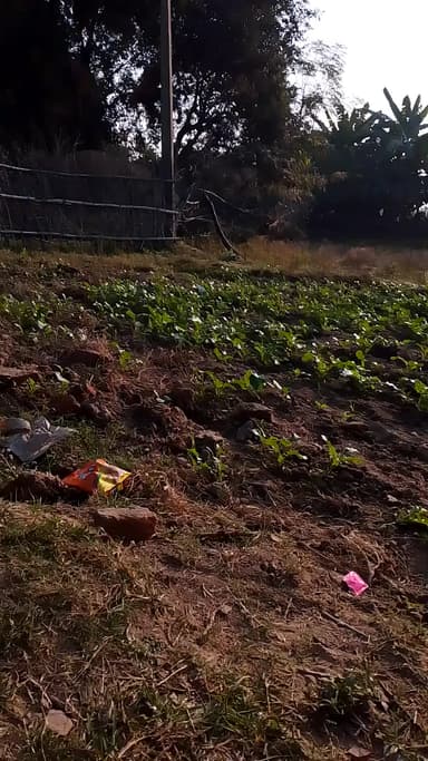 hamare gaon gharon ka dekh lijiye hamare gaon ka हाल-चाल tum abhi Kisi bhi chij ka nahin dekhe honge halchal
@