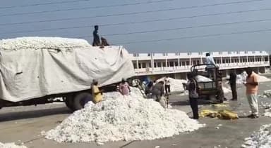 વઢવાણ: વઢવાણ ના વડોદ જીનમાં ટેકાના ભાવેસીસીઆઇ દ્વારા કપાસની ખરીદી શરૂ બે દિવસમાં 1850 મણ જેટલી કપાસની ખરીદી કરાઈ