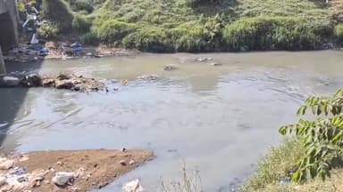 અંકલેશ્વર: આમલાખાડીને પ્રદુષિત થતા અટકાવવા યોગ્ય પગલાં લેવામાં આવે તેવી પર્યાવરણવાદીઓ માંગણી કરી રહ્યા છે.