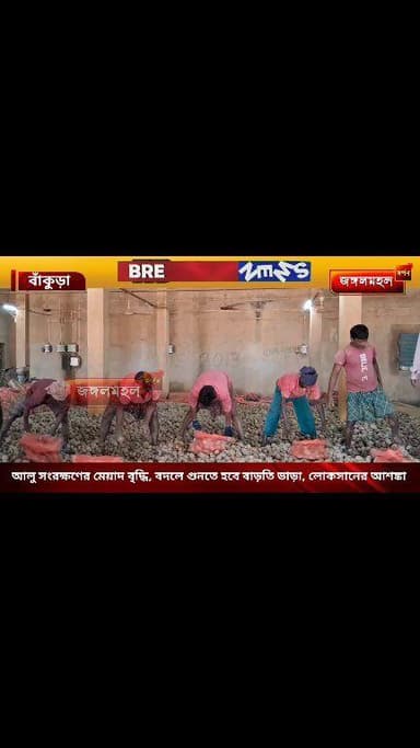 আলু সংরক্ষণের মেয়াদ বৃদ্ধি, বদলে গুনতে হবে বাড়তি ভাড়া, লোকসানের আশঙ্কা