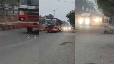 પોશીના: પંથકમાં વહેલી સવારે લઘુત્તમ તાપમાનમાં ધટાડો થતા 15 થી 16 ડિગ્રી સેલ્સિયસ નોંધાયું