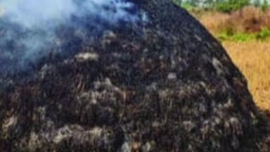 सावली: अज्ञात व्यक्तीकडून धान पुंजण्याची जाळपोळ
खानाबाद (चक) शेतशिवारातील घटना