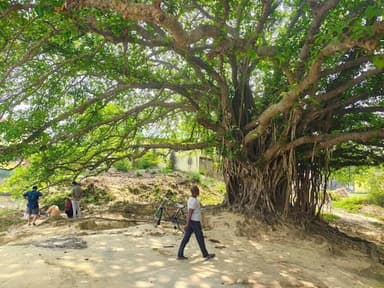 गाँव में पेड़ों की छाँव में जो राहत मिलती है, वो एसी और फैन भी नहीं दे पाते।” ❤️😊