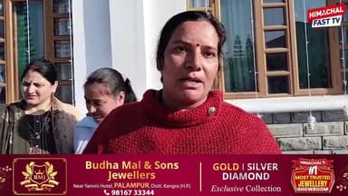 ईको क्लाइमेट सिस्टम प्रूफिंग प्रोजेक्ट से निकाले गए कर्मचारियों ने सरकार पर लगाए गंभीर आरोप
#EcoClimateProject #Himachal...