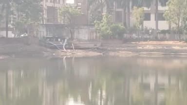 નવસારી: નવસારી નો સરબતીયા તળાવનો કેટલો વિસ્તાર જ્યાં ફૂડ કોર્ટ બનાવવાની વાતનો વિરોધ