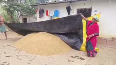 ସଦର: କଳାହାଣ୍ଡି ଜିଲ୍ଲାର ଅଧିକାଂଶ ମଣ୍ଡିରେ ଧାନ ରଖିବାପାଇଁ ଆବଶ୍ୟକୀୟ ଭିତ୍ତିଭୂମି ନିର୍ମାଣ ହୋଇନାହିଁ ଅଭିଯୋଗ