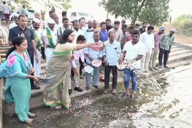 ముధోల్: నిర్మల్ రూరల్ మండలం డ్యాంగాపూర్ గ్రామంలోని చెరువులో చేప పిల్లలు విడుదల చేసిన కలెక్టర్ అభిలాష అభినవ్