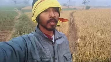 हाथियों का आक्रमण ग्रामीण इलाको बढ़ा किसानों मै हाथियों को लेकर खौफ।