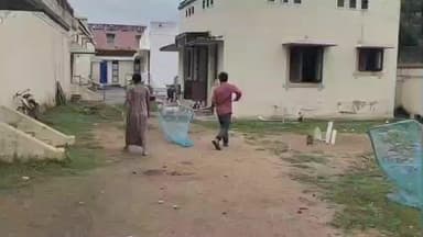 திருப்பத்தூர்: நெற்குப்பை பேரூராட்சியில் தெரு நாய்களுக்கு தடுப்பூசி போடப்பட்டது