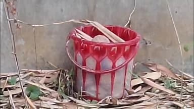 বোলপুর-শ্রীনিকেতন: বিধানসভা নির্বাচনের আগে বীরভূমে বারবার বোমা উদ্ধার,সিপিএম ও বিজেপিকে সরাসরি দায়ী করলেন কাজল শেখ