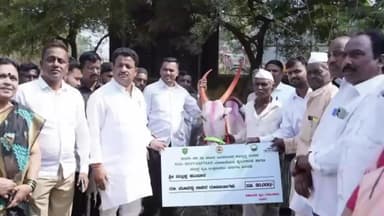 ಸಿಂದಗಿ: ಪಟ್ಟಣದಲ್ಲಿ ರೈತರಿಗೆ ಹಸುಗಳನ್ನು ವಿತರಿಸಿದ ಶಾಸಕ ಅಶೋಕ ಮನಗೂಳಿ