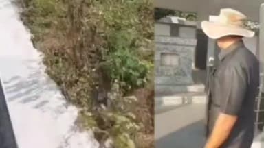 सिल्लोड: रॉबर्ट गिल च्या पणतुची अजिंठ्या ला संपत्नीक भेट