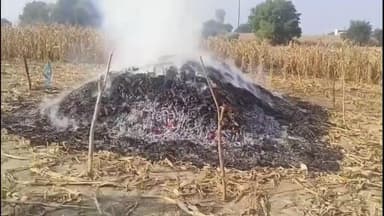 सिल्लोड: तालुक्यातील अनाड येथील गट क्रमांक 183 मध्ये अज्ञात व्यक्तीने शेतात साठवून ठेवलेली मक्का जाळली