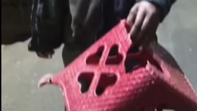 বোলপুর-শ্রীনিকেতন: অমর্ত্য সেনের বাড়ির কাছে দুষ্কৃতি তাণ্ডব, মোমোর দোকানে হামলায় জখম দুই ভাই