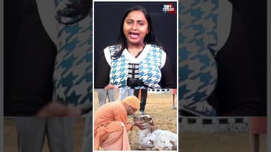 #shorts #reels #trending #explore #youtubeshorts #latestshorts #viralvideo #ytshorts #instashorts