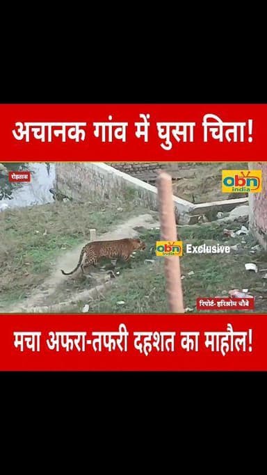 गांव में चीता के घुसते ही मचा हड़कंप,ग्रामीणों में दहशत का माहौल,मौके पर पहुंची वन विभाग और पुलिस की टीम ।
#BreakingNews...