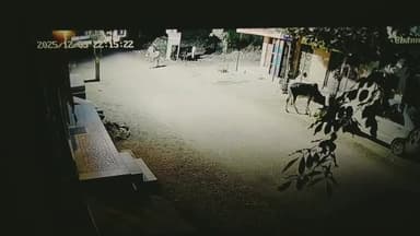 तनावडा में घरों से बाहर निकले लोग तेज धमाके की आवाज, तेज धमाके यह आवाज सीसीटीवी कैमरे में भी हुई कैद
#इंडिया #rajasthan...