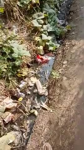 करछना क्षेत्र के अंतर्गत ग्राम सभा सुलमई में नहर की नहीं हो रही है सफाई लगभग 1 सालों से पड़ी है ।
ग्राम प्रधान पैसा लेकर