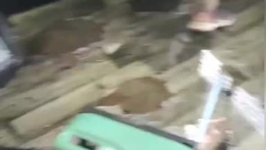 ಕೃಷ್ಣರಾಜಪೇಟೆ: ವೃತ್ತಿ ವೈಷಮ್ಯ ಹಿನ್ನೆಲೆ ಪಟ್ಟಣದಲ್ಲಿ ವಕೀಲನ ಮೇಲೆ ವಕೀಲರ ಗುಂಪಿನಿಂದಲೇ ಹಲ್ಲೆ