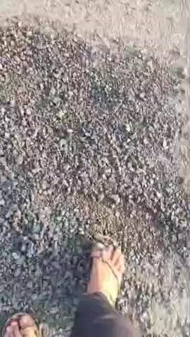 ગારિયાધાર: ગારિયાધાર–રૂપાવટી રોડ પર બોગસ કામનો
વિડીયો સોશિયલ મીડિયામાં વાયરલ થતા સ્થાનિકોમાં રોષ, ધારાસભ્યે કામ અટકાવ્યું