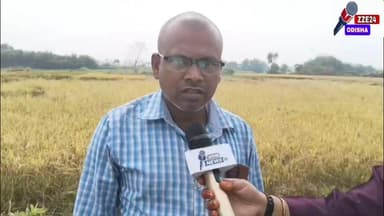 ନିମ୍ନ ମାନର କାମ ହେଉଥିବାର ଅଭିଯୋଗ କରି, କାମ ବନ୍ଦ କଲେ