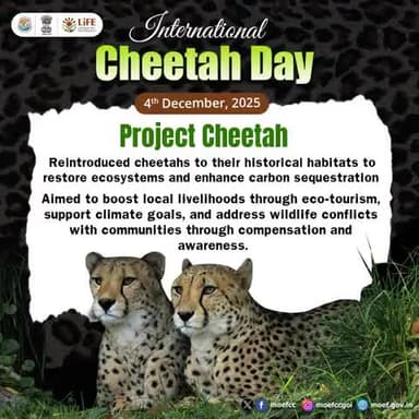 Project Cheetah marks a major step in restoring India’s grassland heritage, enhancing carbon sequestration, and empowering local communities through sustainable opportunities.
#InternationalCheetahDay #CheetahDay #MissionLiFE