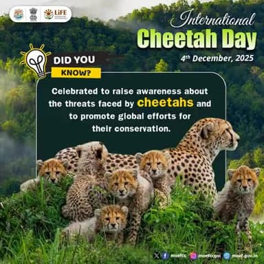 On #InternationalCheetahDay, we highlight the need to protect cheetahs and strengthen global efforts for their long-term conservation.
#Cheetah #MissionLiFE #ProPlanetPeople