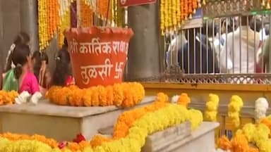 अक्कलकोट: दत्त जयंती निमित्त अक्कलकोटमध्ये श्री स्वामी समर्थ दर्शनासाठी भाविकांची गर्दी