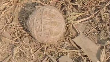 সিউড়ি ১: ১৪ নম্বর জাতীয় সড়কের ধারে দুটি তাজা বোমা পড়ে থাকছে দেখে এলাকায় চাঞ্চল্য ছড়ায়, ঘটনাস্থলে সিউড়ি থানার পুলিশ