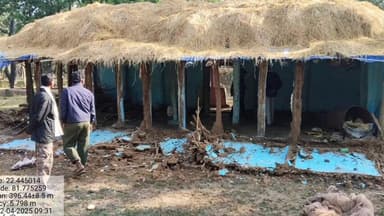 मुंगेली: रात में हाथियों का कहर: कच्चा मकान तोड़ा, राशन चट किया, महिला बच्चों संग भागकर बची