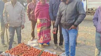 आज भाटापारा सब्ज़ी मंडी में टमाटर 870 रु कैरेट बिक्री हुआ है आपका अपना सब्ज़ी मंडी भाटापारा #bhatapara