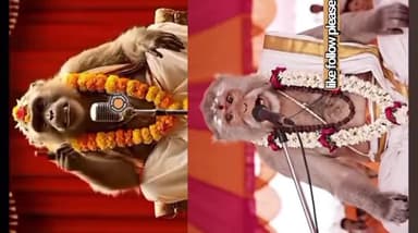 विश्व विख्यात आध्यात्मिक प्रवक्ता श्री बंदर महाराज जी कुरूद #tamesh #kurud