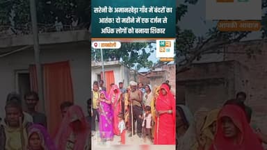 रायबरेली: सरेनी के अमानखेड़ा गाँव में बंदरों का आतंक #RaebareliNews #Sareni #MonkeyMenace